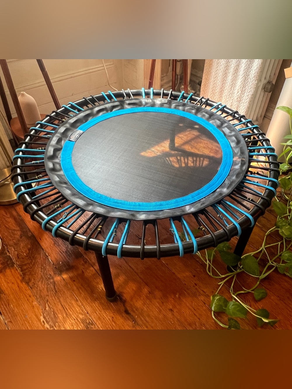 Bellicon Blue and Black Rebounder Mat (for 39” Bellicon)